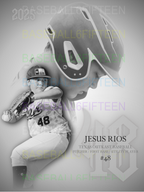 Custom Player Poster